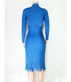 Solid Color Fringe Trim Textured Pleated Dress -Dress Sales Store 200902521 10