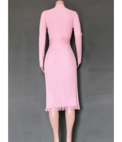 Solid Color Fringe Trim Textured Pleated Dress -Dress Sales Store 200902521 3 1