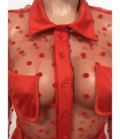 Polka Dot Sheered Mesh Maxi Dress -Dress Sales Store 201007321 10