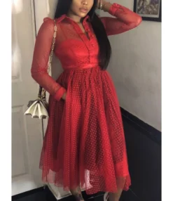 Polka Dot Sheered Mesh Maxi Dress -Dress Sales Store 201007321 3