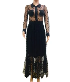 Polka Dot Sheered Mesh Maxi Dress -Dress Sales Store 201007321 5 1