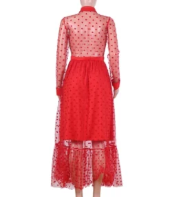 Polka Dot Sheered Mesh Maxi Dress -Dress Sales Store 201007321 9